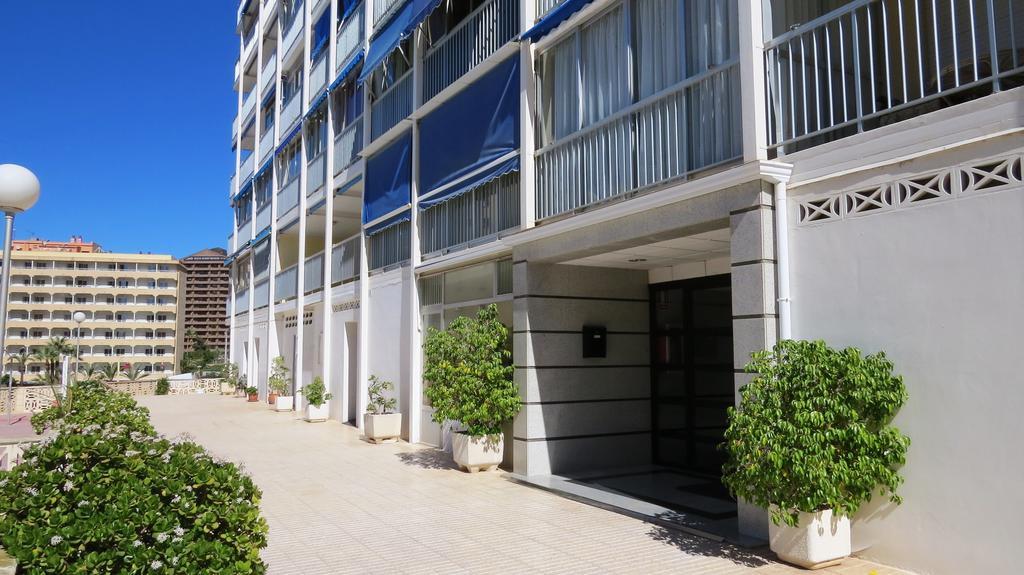Halcon Levante Benidorm Quarto foto